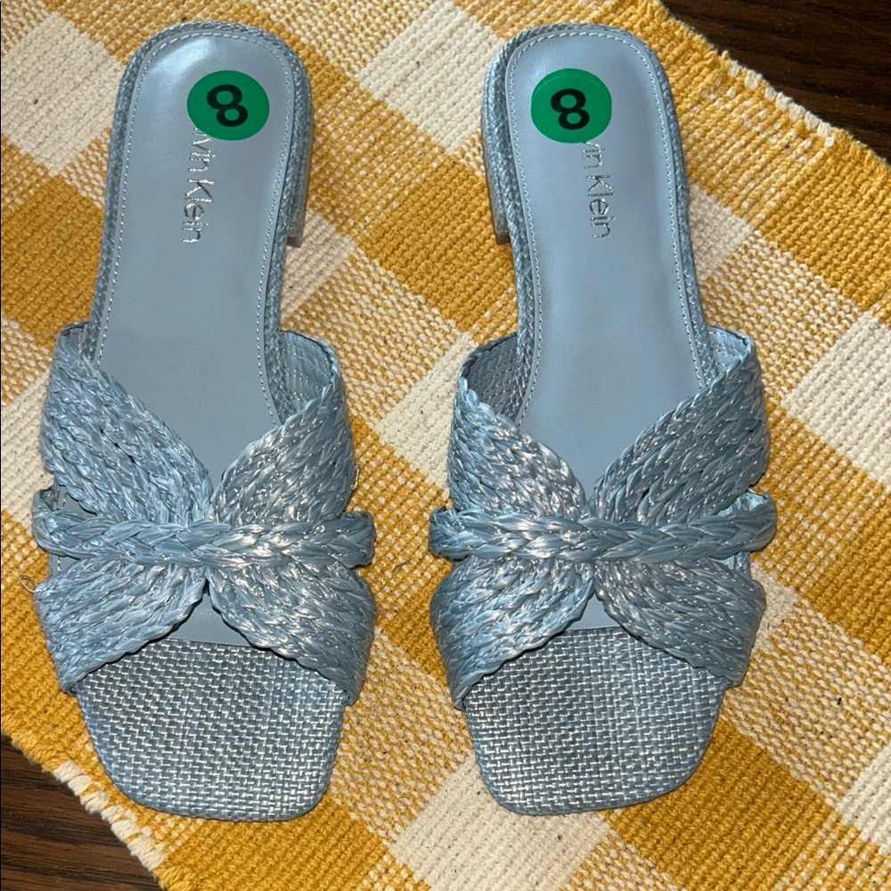 Calvin Klein Women's Blue Slide Sandals